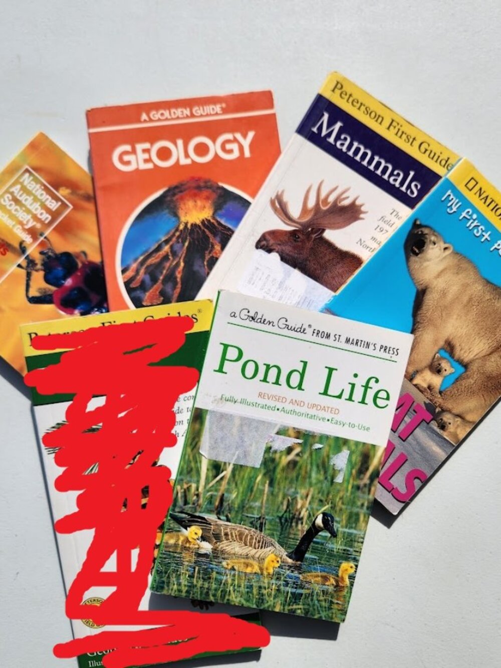 5 Field Guides Book Bundle Guide Books Reference Nature Mammals Geology